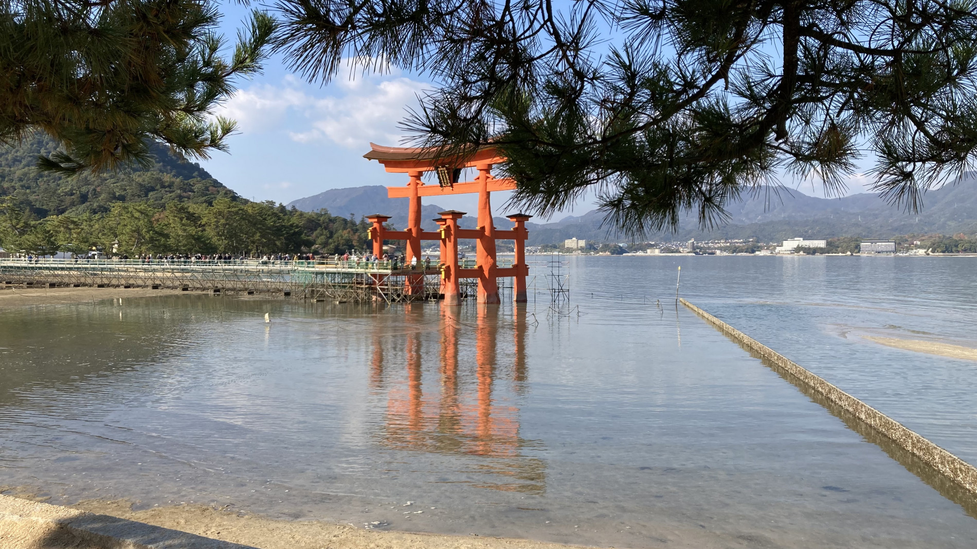 修学旅行２日目(厳島神社) (2)